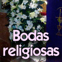 bodas